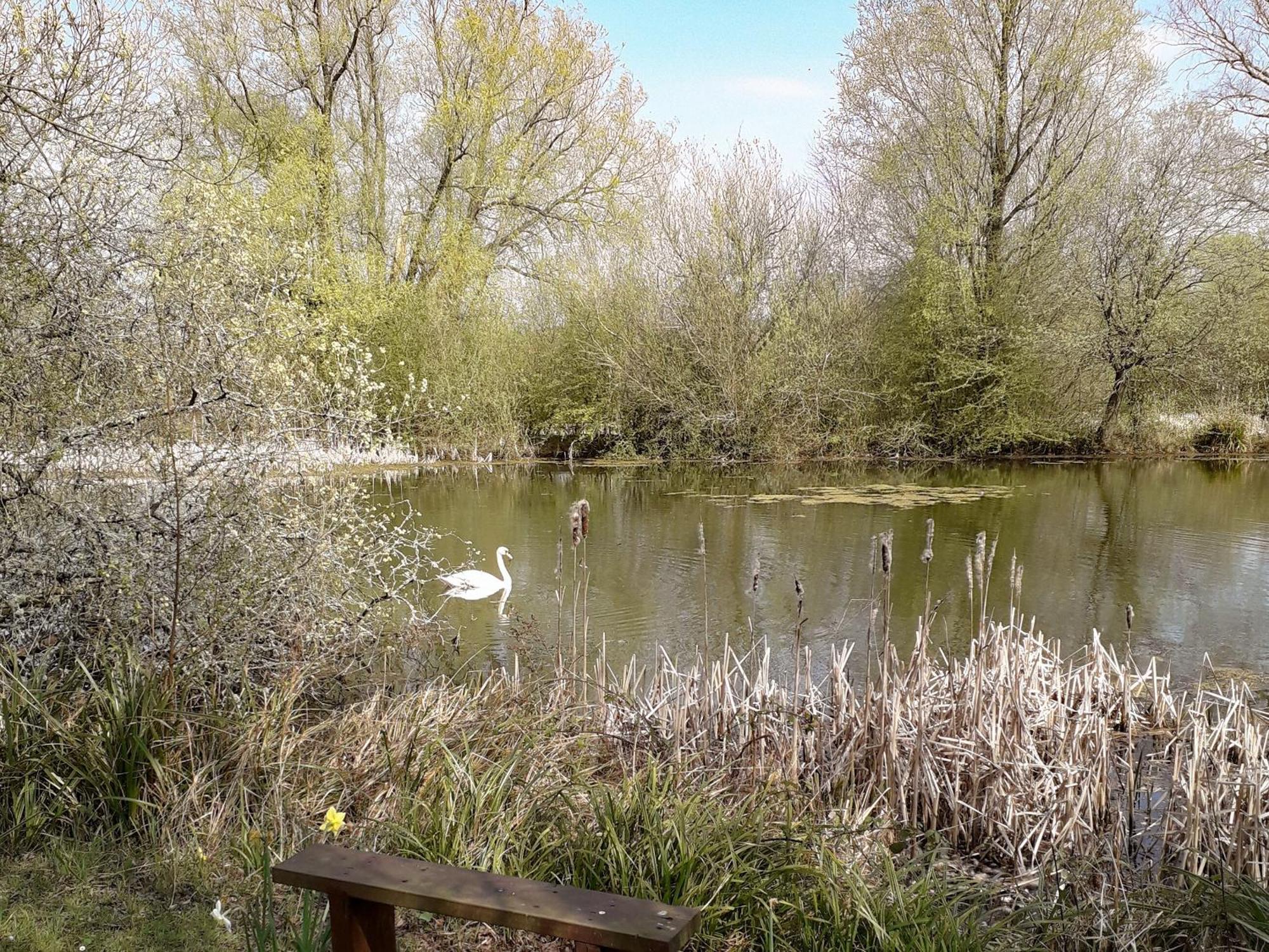 Herons Nest Bourton-on-the-Water Eksteriør billede